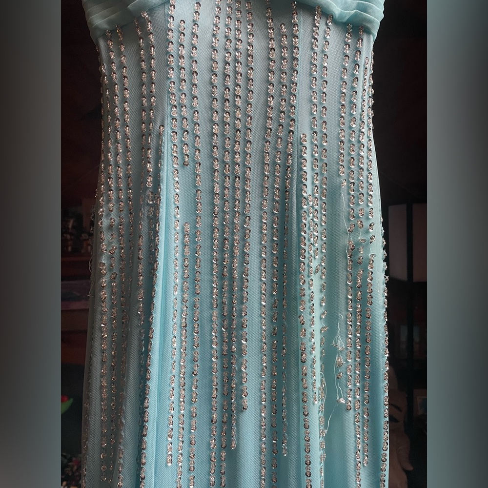 Prom Dress - Picture 4 of 14